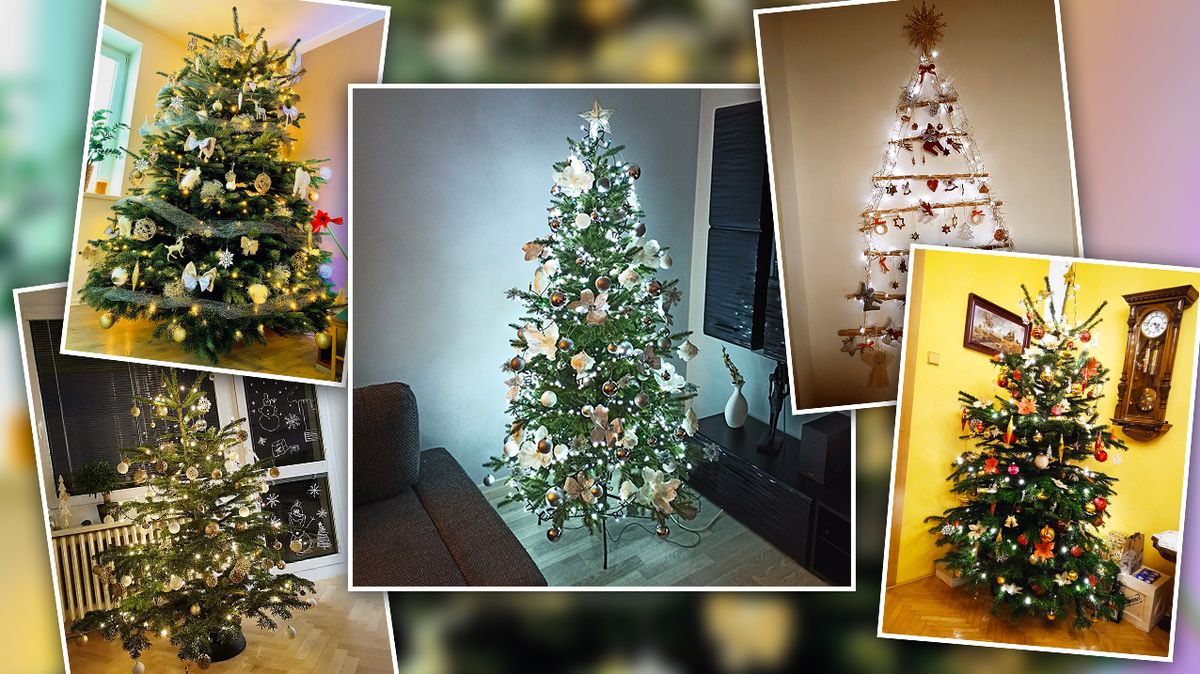 Přehlídka vánočních stromků našich čtenářů